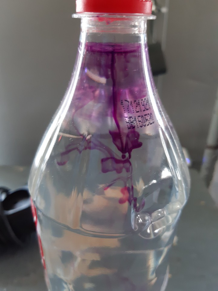 potassium permanganate,