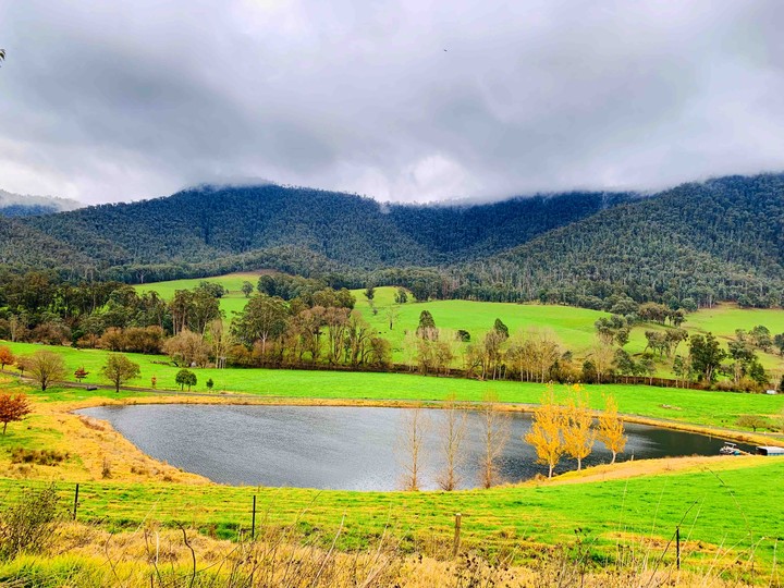 landscape beauty