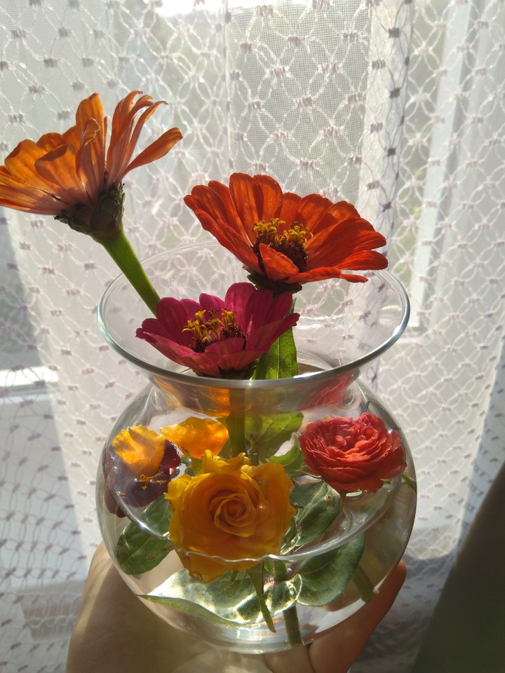 florist today