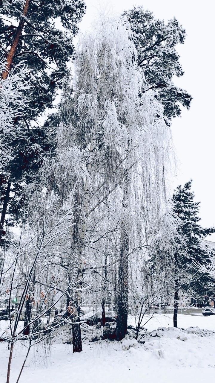 winter