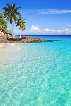 Beach resort ⛵️ ASIA