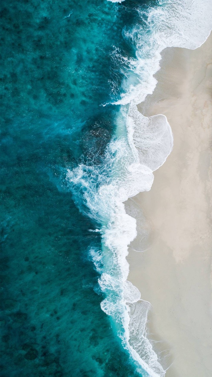 sea