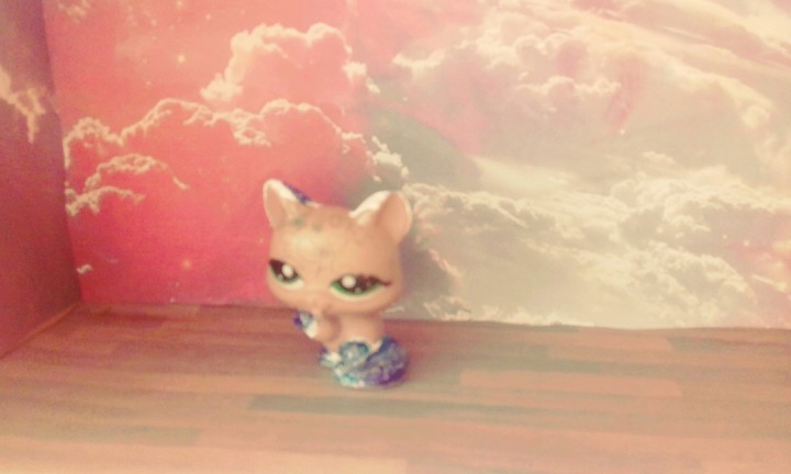 #cat