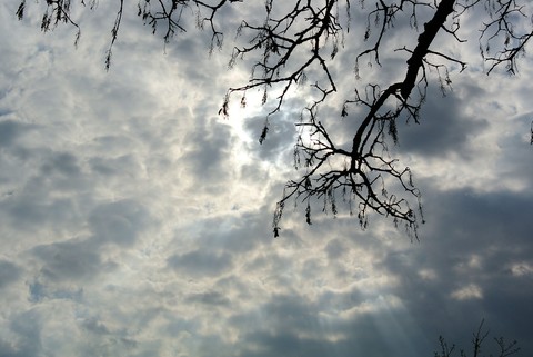 light in the darkness