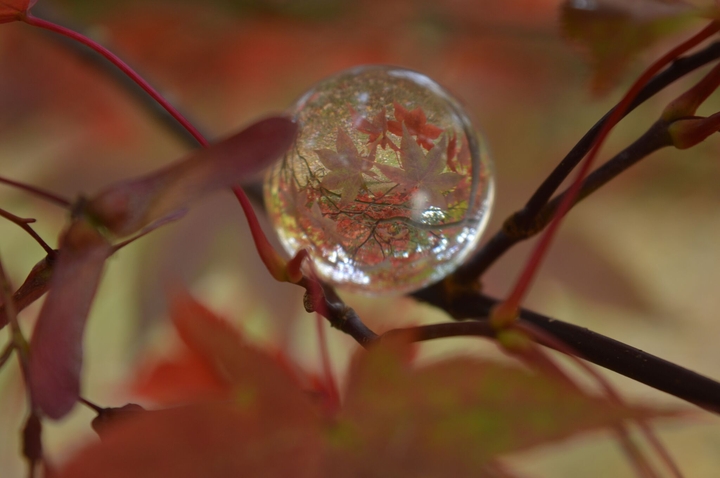 droplet