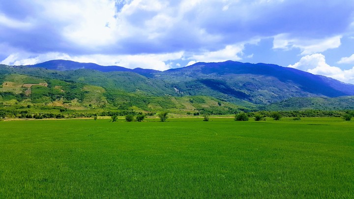 My Hometown