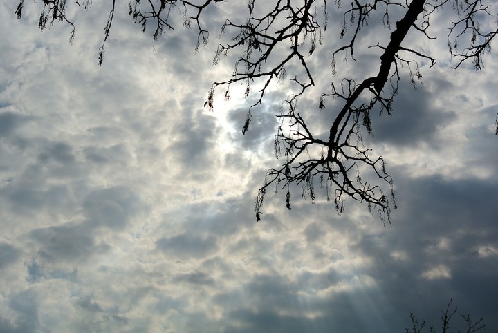 light in the darkness