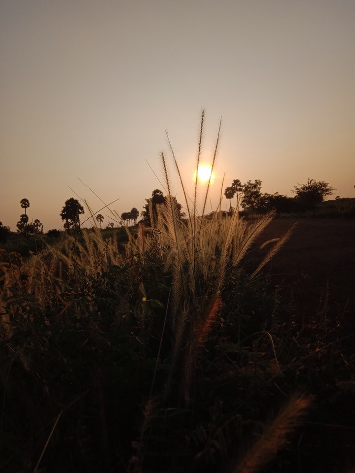 sunrise