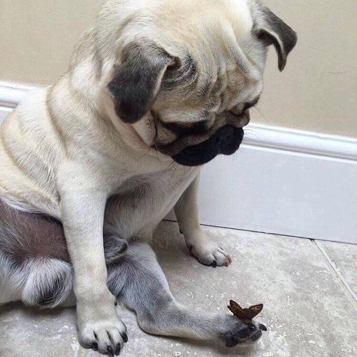лето