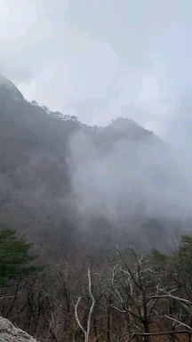 Fog in Bukhansan Mountain, South Korea