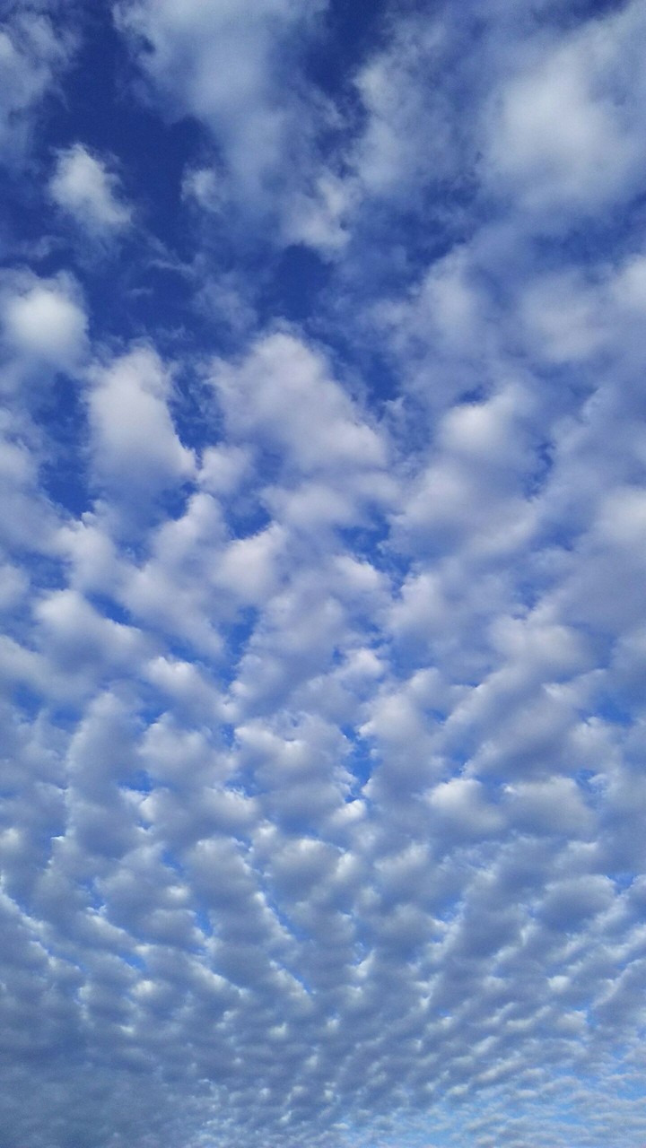 秋の空