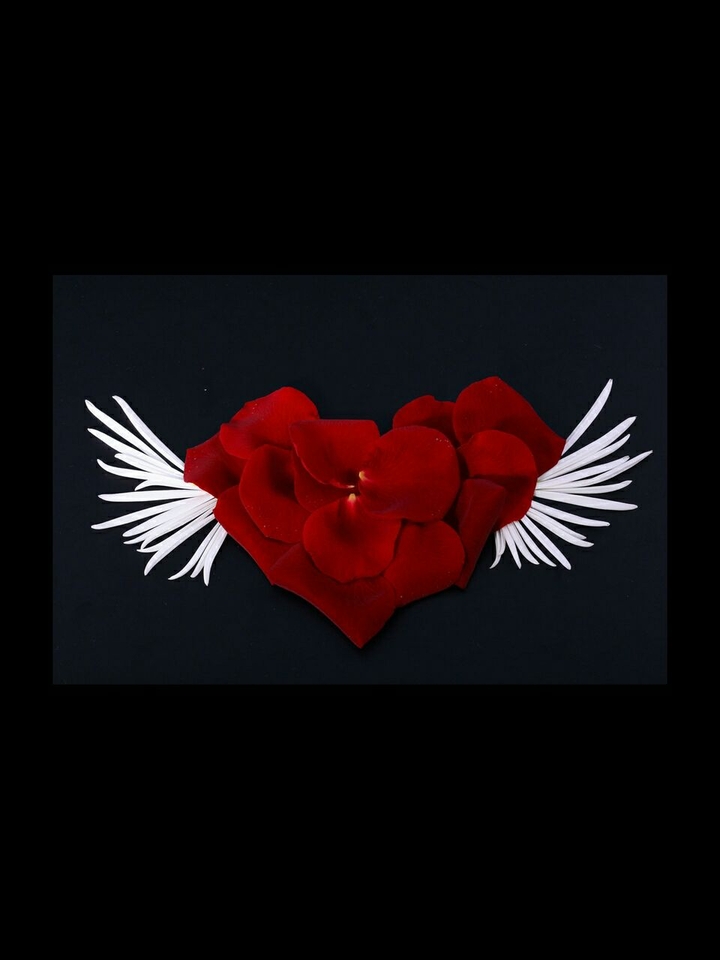 amore
