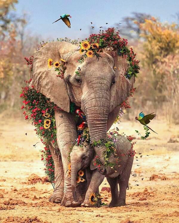 mom love