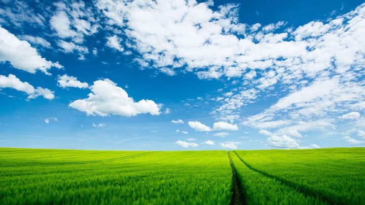 Bluebsky under green land