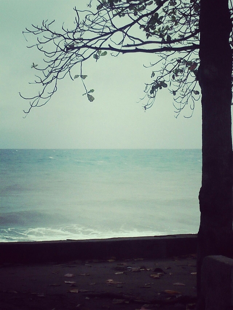 THE SEA