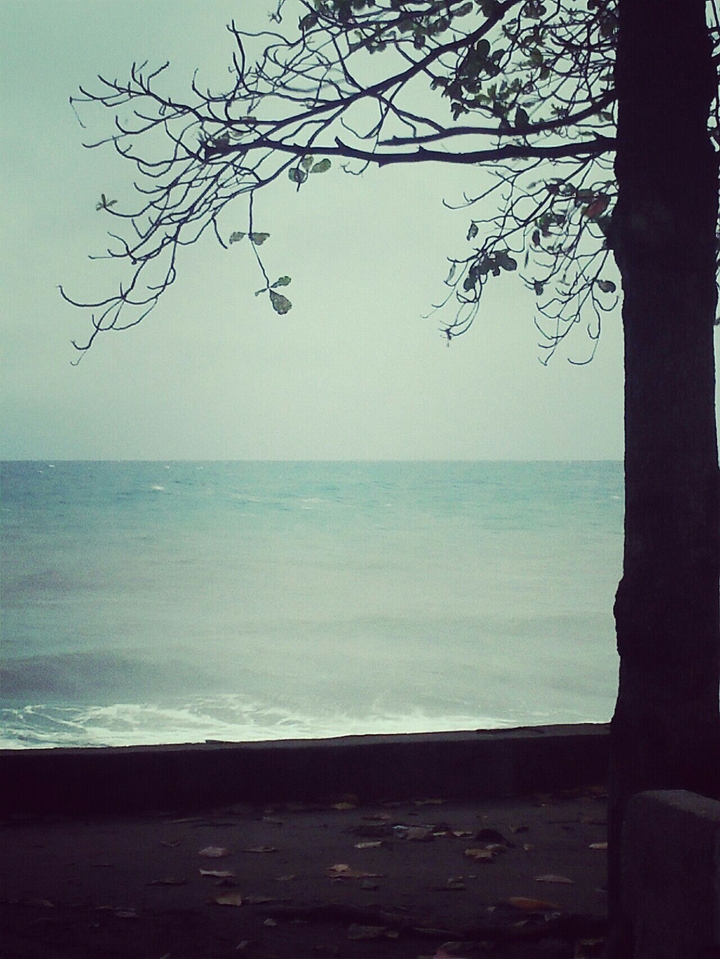 THE SEA