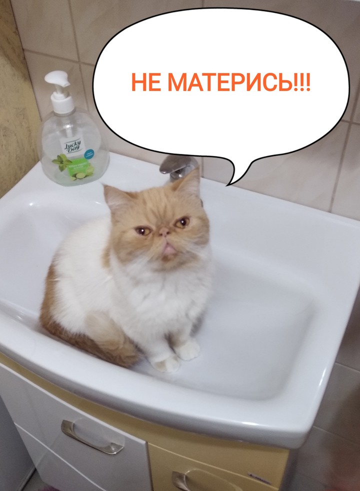 Не МАТЕРИСЬ!!!