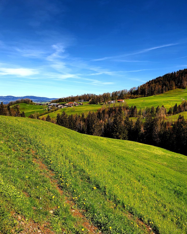 Nature