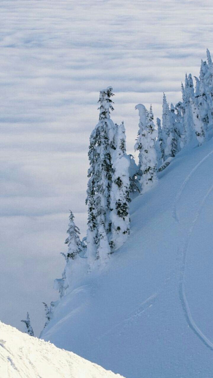 зима