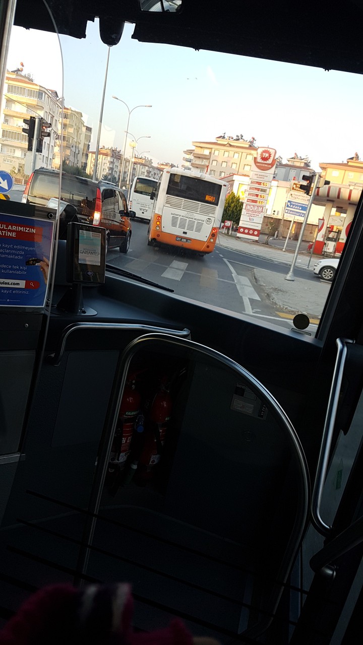 Şehir