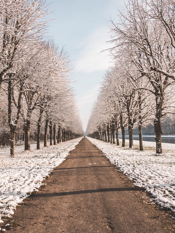 Winter