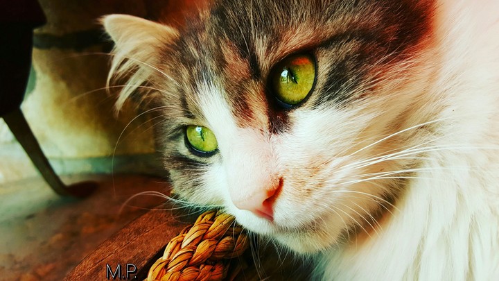 Beautiful eyes.