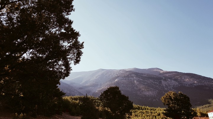 Peaceful