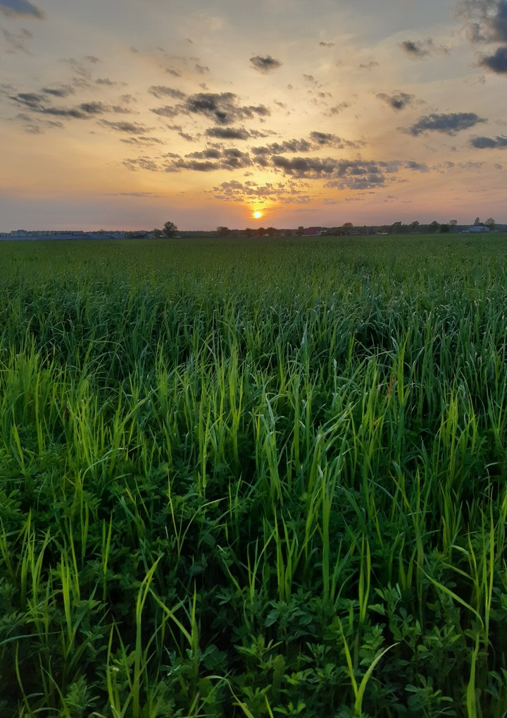 Łapacz zachodu słońca