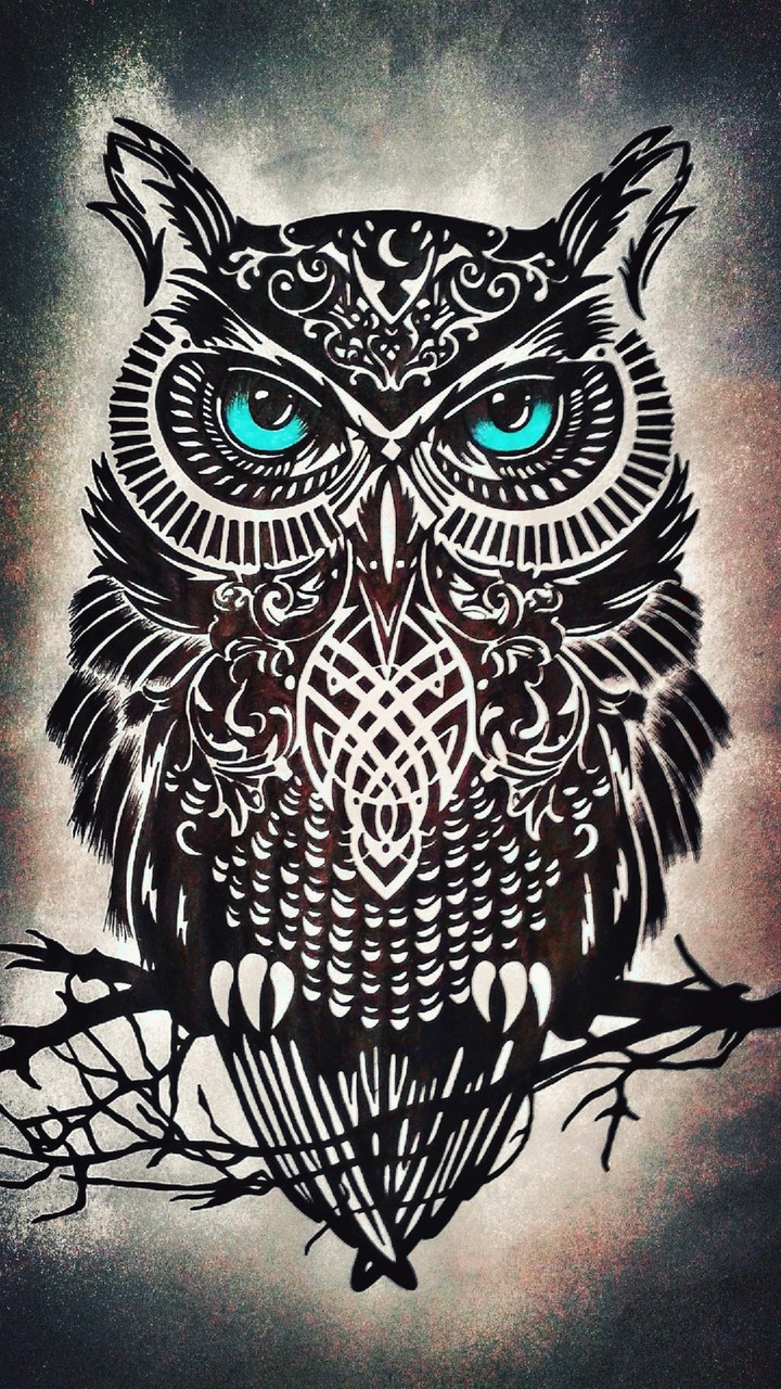 Owl(5)