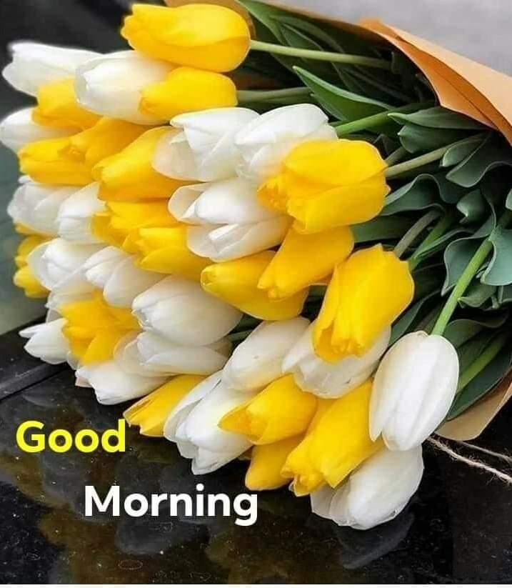 Have a peaceful day