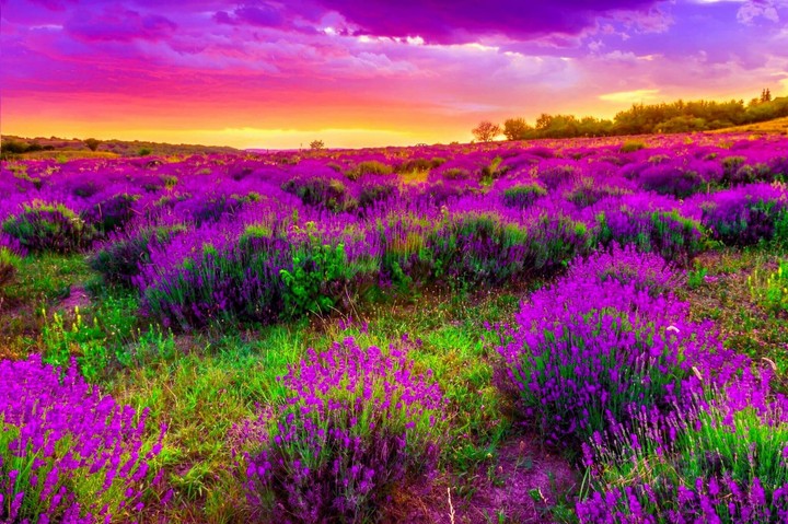 Beautiful sunset