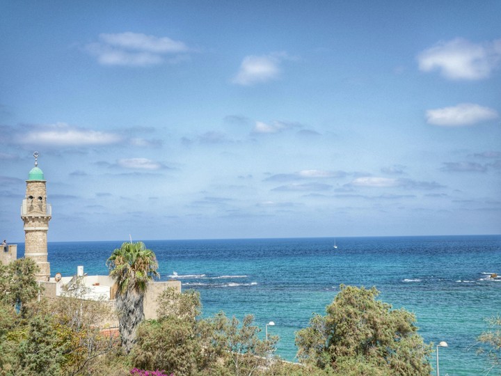 Jaffa Port
