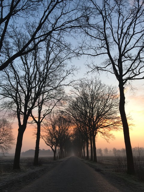 winterfarben