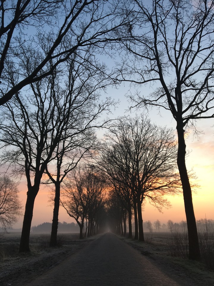 winterfarben