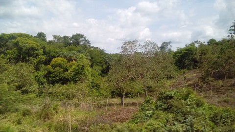 nature
