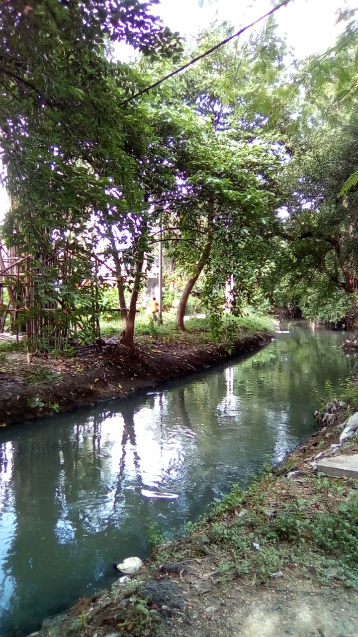 jheel's pic...