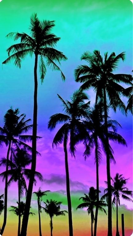 summer