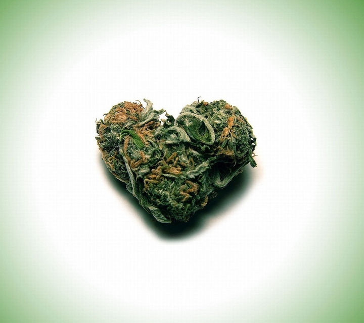 cannabis