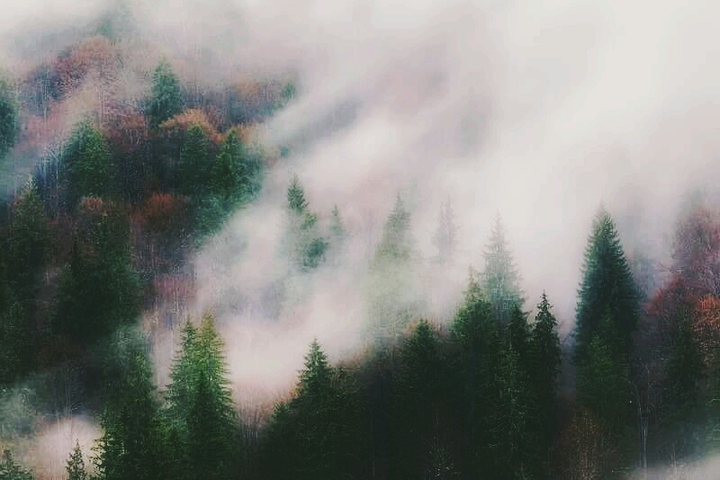 Romania