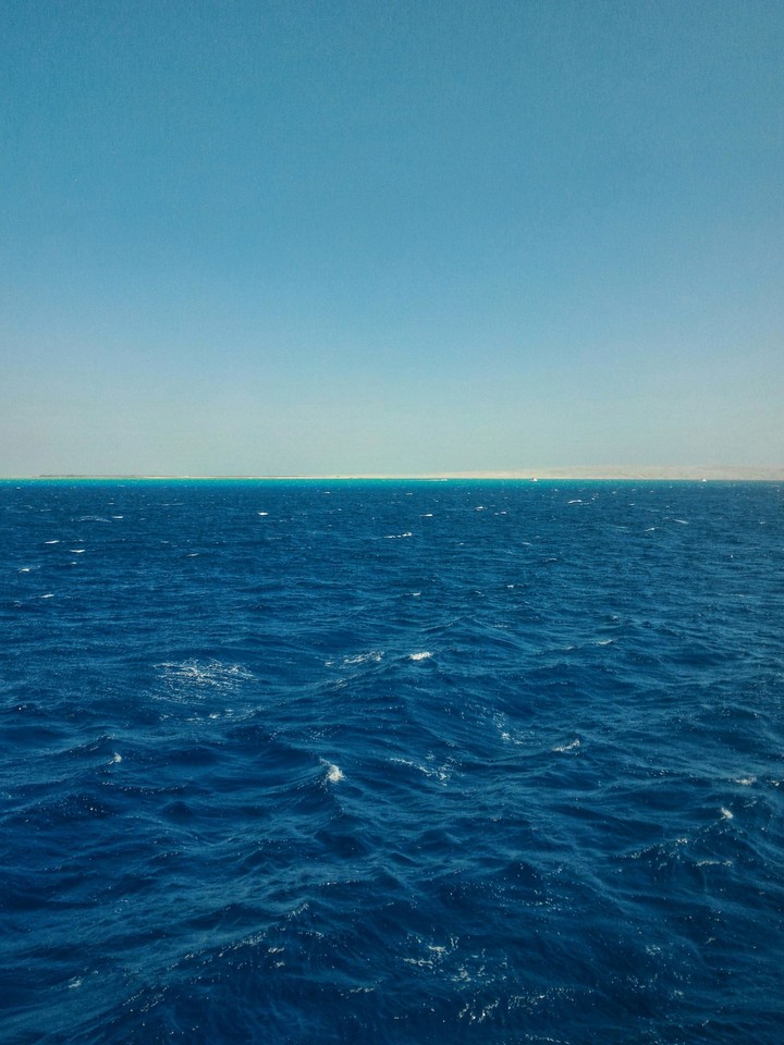Red Sea