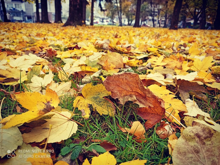 autunno 2020 Bulgaria