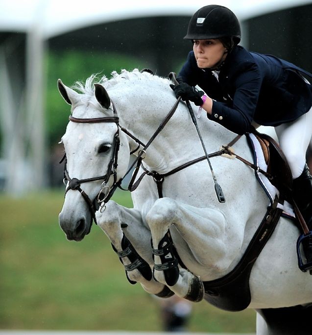 Star horses