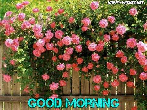 good morning