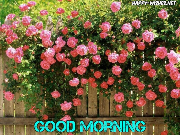 good morning
