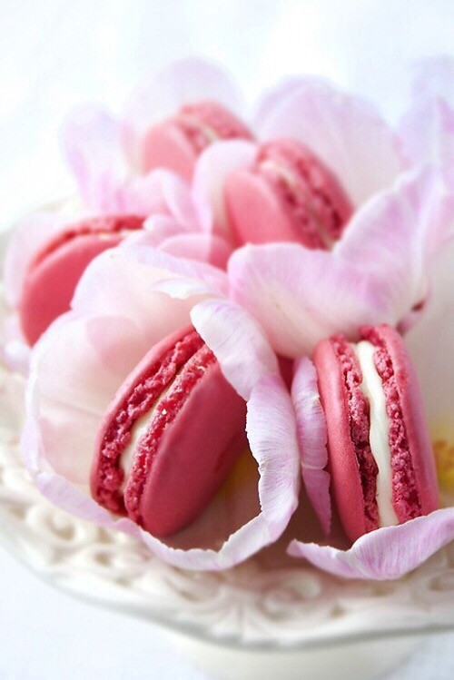 Macaron