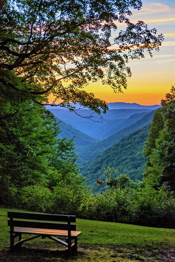 view