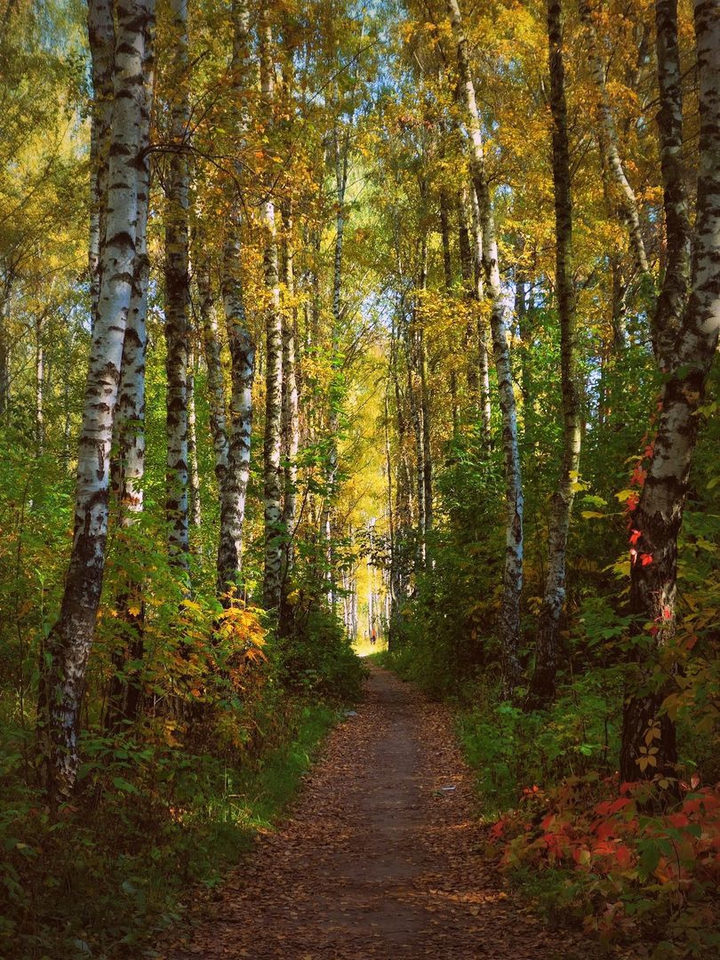 fall