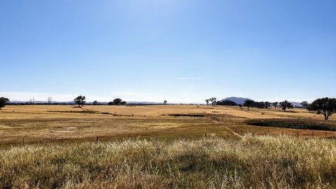 farm