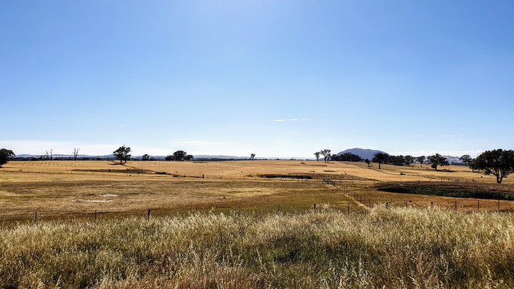farm