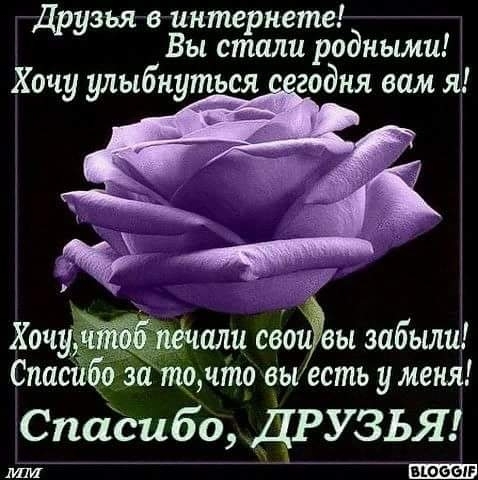 жизнь